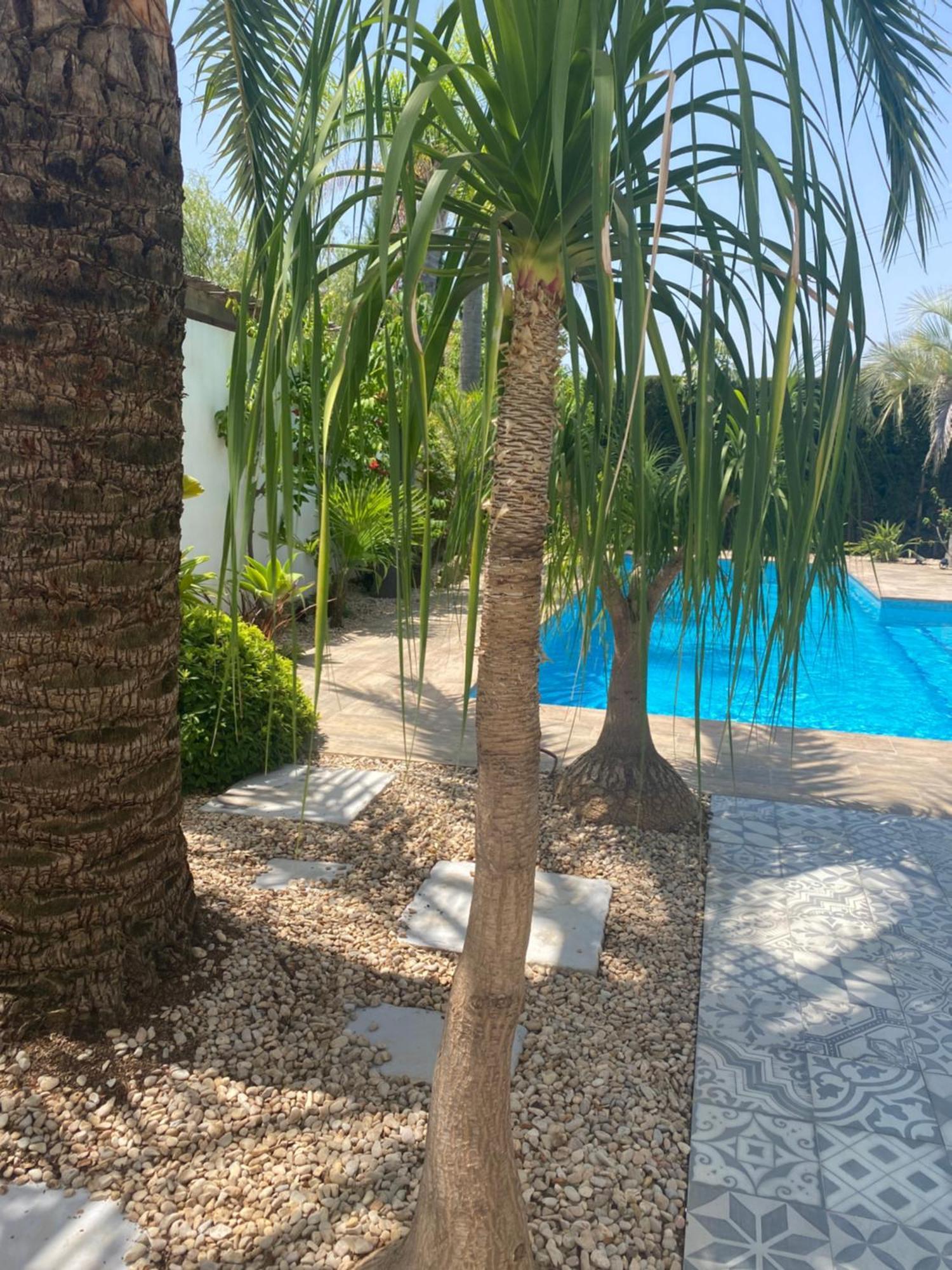Bohospanishvilla Moraira Exteriér fotografie